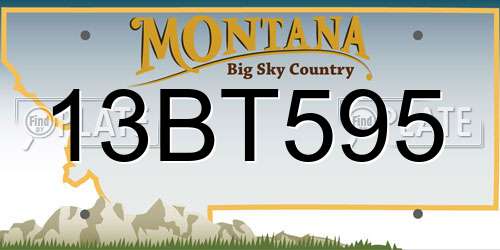 13BT595 Montana License Plate