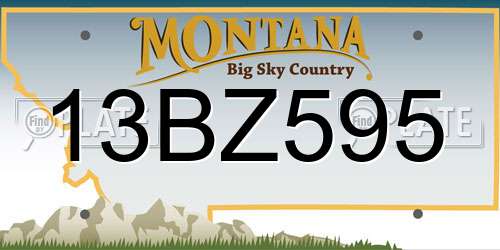 13BZ595 Montana License Plate