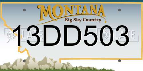 13DD503 Montana License Plate