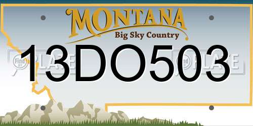 13DO503 Montana License Plate
