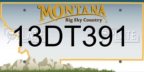 13DT391 Montana License Plate