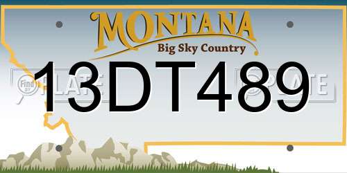 13DT489 Montana License Plate