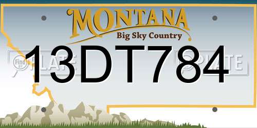13DT784 Montana License Plate