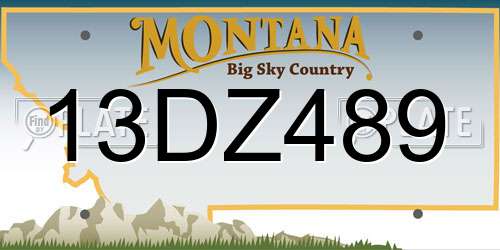 13DZ489 Montana License Plate