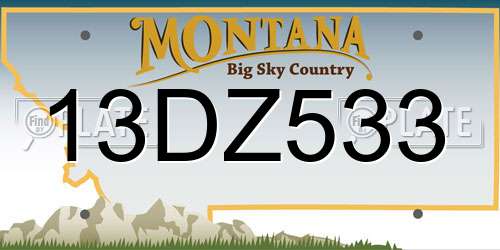 13DZ533 Montana License Plate
