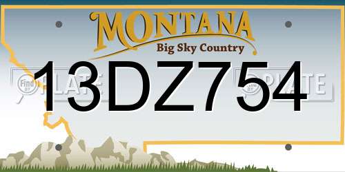 13DZ754 Montana License Plate