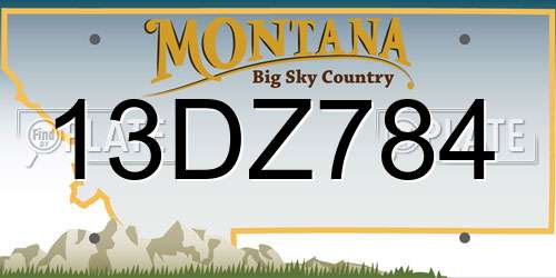13DZ784 Montana License Plate