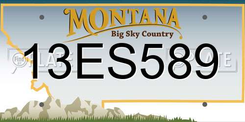 13ES589 Montana License Plate