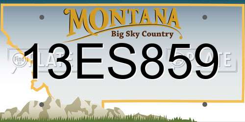 13ES859 Montana License Plate