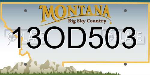 13OD503 Montana License Plate