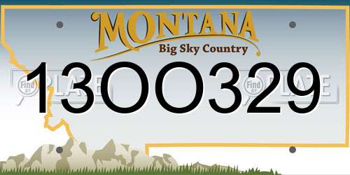 13OO329 Montana License Plate
