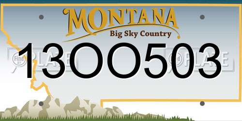 13OO503 Montana License Plate