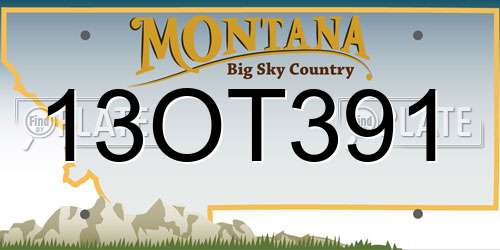 13OT391 Montana License Plate