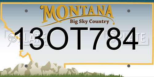 13OT784 Montana License Plate