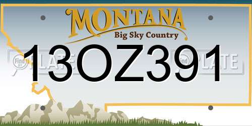 13OZ391 Montana License Plate