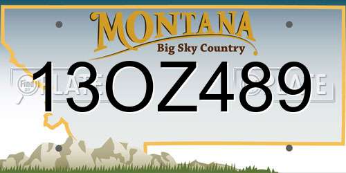 13OZ489 Montana License Plate