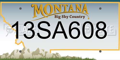 13SA608 Montana License Plate
