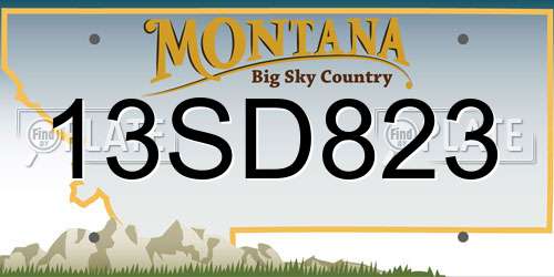 13SD823 Montana License Plate