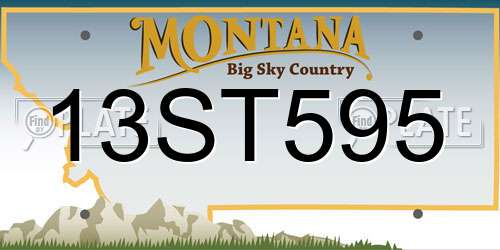 13ST595 Montana License Plate