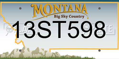 13ST598 Montana License Plate