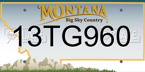 13TG960 Montana License Plate