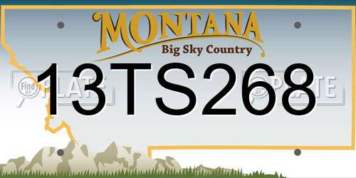 13TS268 Montana License Plate