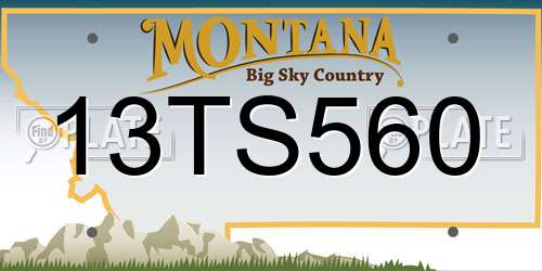 13TS560 Montana License Plate