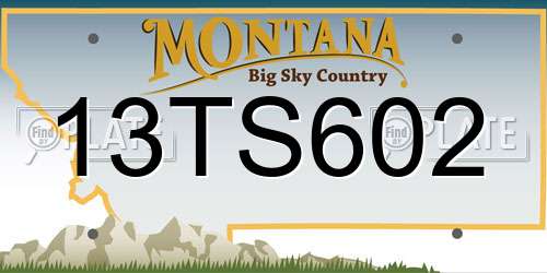 13TS602 Montana License Plate