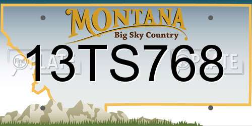 13TS768 Montana License Plate