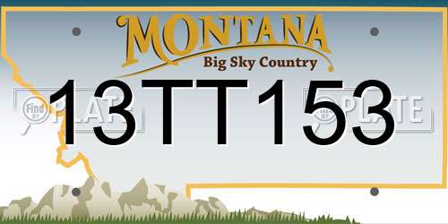 13TT153 Montana License Plate