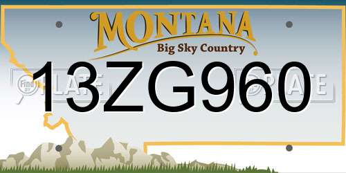 13ZG960 Montana License Plate