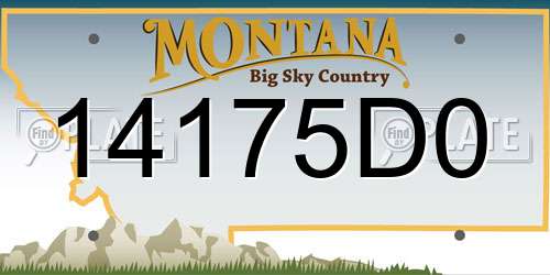 14175D0 Montana License Plate