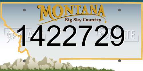1422729 Montana License Plate