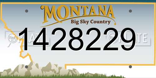 1428229 Montana License Plate