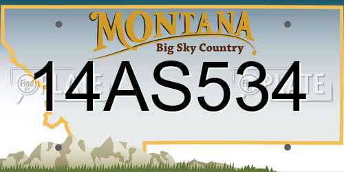 14AS534 Montana License Plate