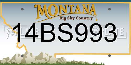 14BS993 Montana License Plate