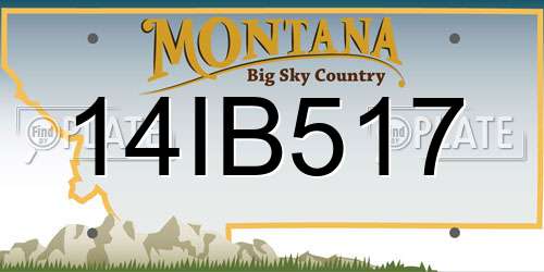 14IB517 Montana License Plate