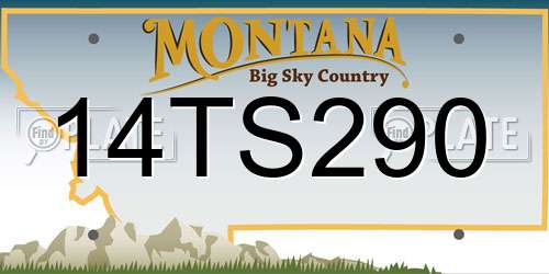 14TS290 Montana License Plate