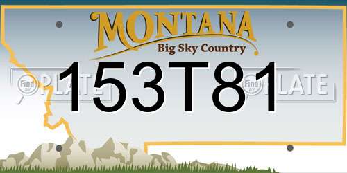 153T81 Montana License Plate