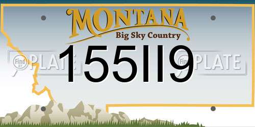 155II9 Montana License Plate