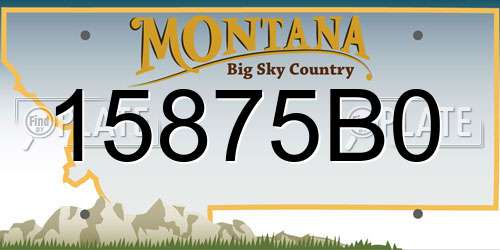 15875B0 Montana License Plate