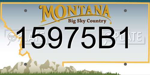 15975B1 Montana License Plate