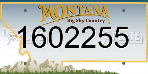 1602255 Montana License Plate