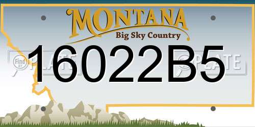 16022B5 Montana License Plate
