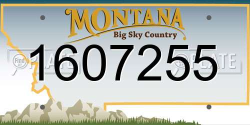 1607255 Montana License Plate