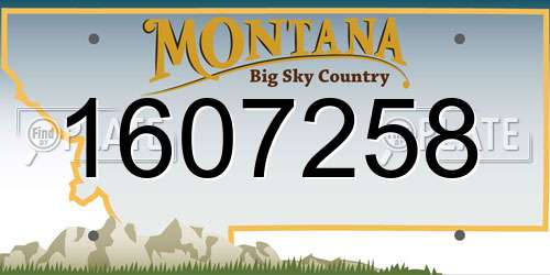 1607258 Montana License Plate