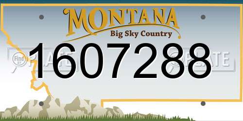 1607288 Montana License Plate