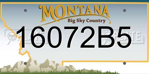 16072B5 Montana License Plate