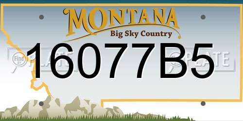 16077B5 Montana License Plate