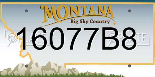 16077B8 Montana License Plate